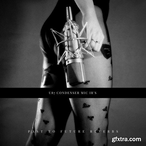 PastToFutureReverbs U87 Condenser Mic IR’s!