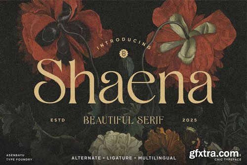 CreativeMarket - Shaena - Beautiful Serif