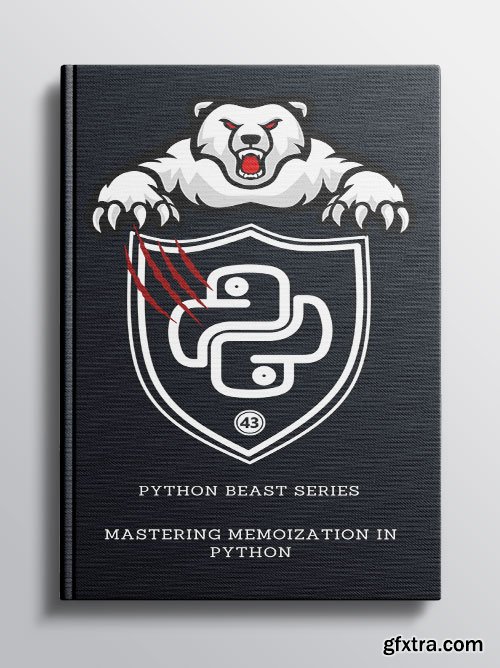 Mastering Memoization in Python