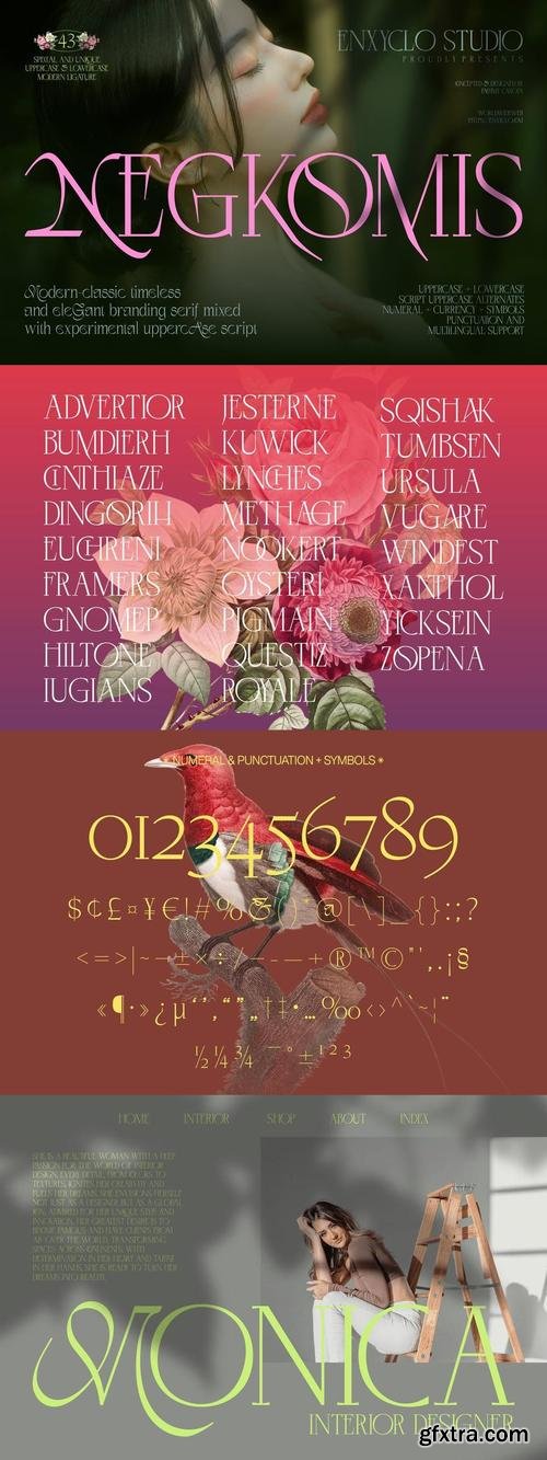 Negkomis - Modern Elegant Serif Mixed with Script