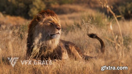 VFX Grace - Lion Animation