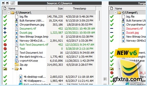 ViceVersa Pro 6 Build 6015