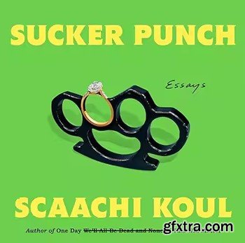 Sucker Punch: Essays