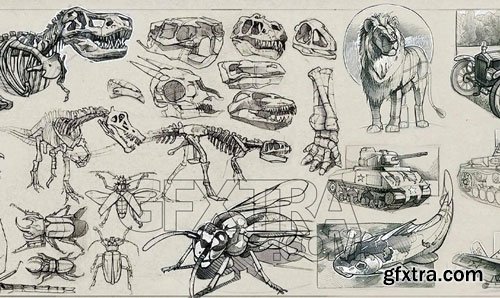 CGMA - Dynamic Sketching 2