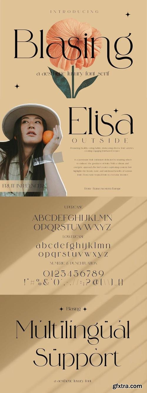 Blasing Aesthetic Serif Font