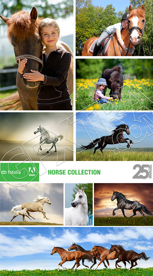 Horse Collection 25xJPG