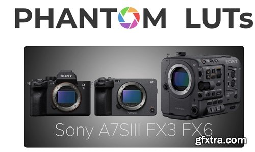 Joel Famularo - Sony A7s3 & FX6 - Updated 2025