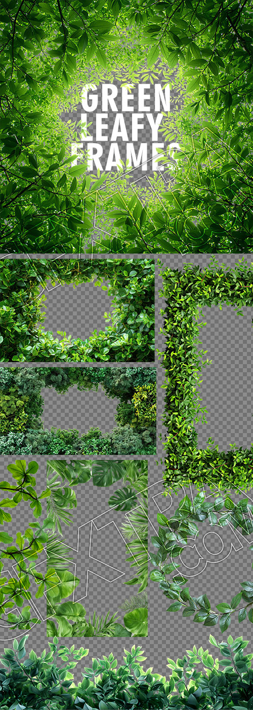Green Leafy &amp; Natural Frames 48xPNG