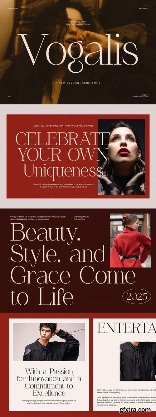 Vogalis Minimalist Serif Font