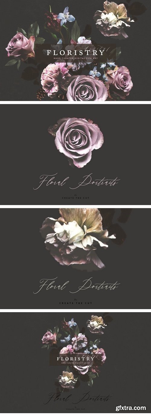 CM - Digital Floristry - Floral Portraits 2076806