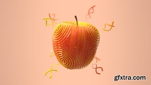 Udemy - How to Scatter Sine Waves onto any object in Houdini