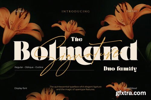 CreativeMarket - Bolmand Signature Font