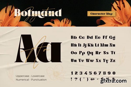 CreativeMarket - Bolmand Signature Font