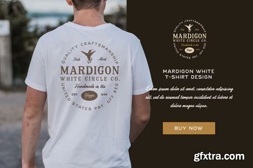 CreativeMarket - The Native Record Font Trio
