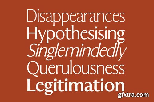 CreativeMarket - Quillo Basic Family