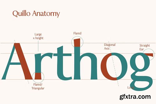 CreativeMarket - Quillo Basic Family