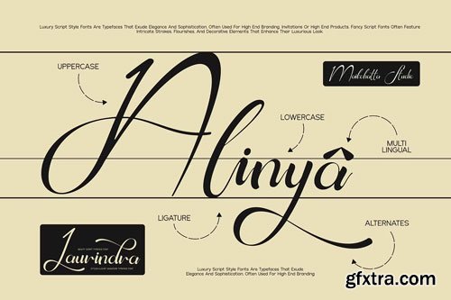CreativeMarket - Laurindra - Luxury Script Font