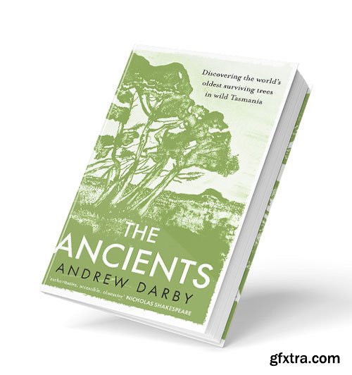 The Ancients: Discovering the world\'s oldest surviving trees in wild Tasmania