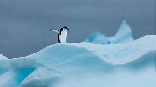 'CreativeLive - Minimalist Photography'