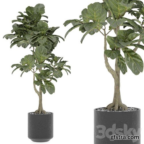 3dsky Pro - indoor Plant 295