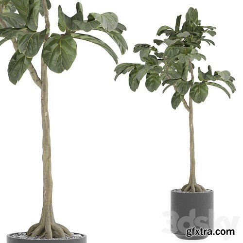 3dsky Pro - indoor Plant 295