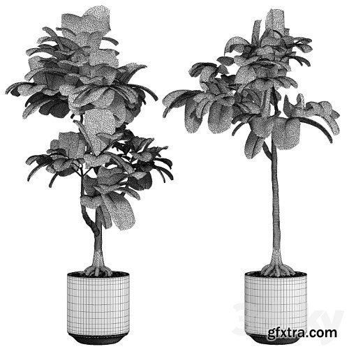 3dsky Pro - indoor Plant 295