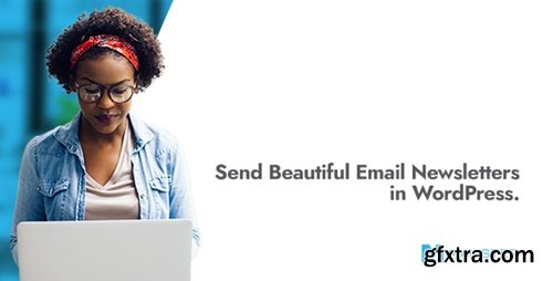 Codecanyon - Mailster v4.1.9 - Email Newsletter Plugin for WordPress 3078294- nulled