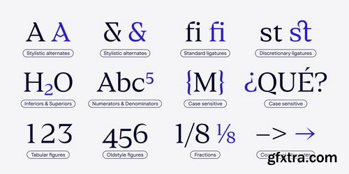 Myfonts - Azurio Font Family