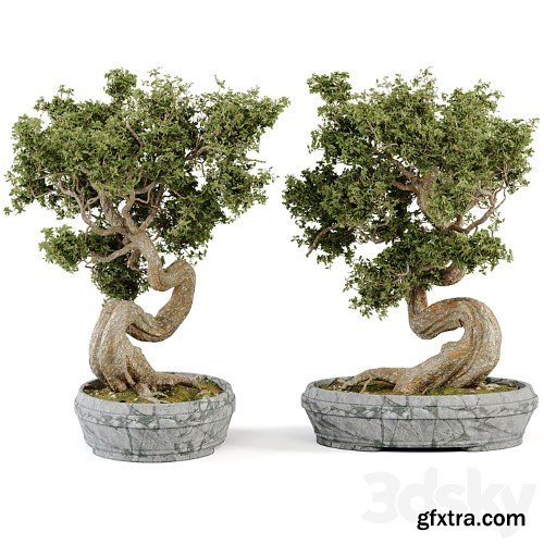 3dsky Pro - Bonsai Set Vol.01