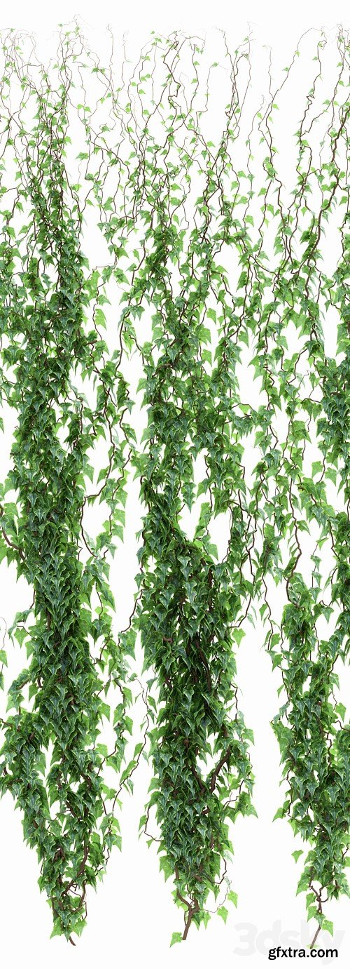 3dsky Pro - Ivy Wall