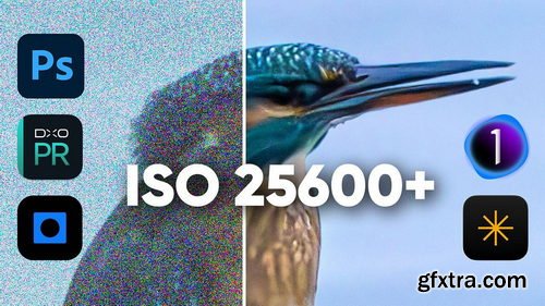 PiximPerfect - BEST Noise Remover for High ISO Photos? Top 5 Compared: Topaz vs DxO &amp; More!