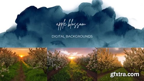 Finding North Education - Raccoon Digital Overlays