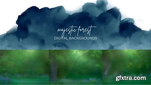 Finding North Education - Majestic Forest Digital Backgrounds