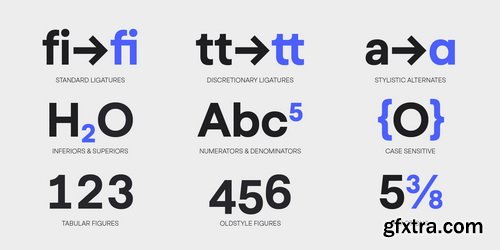 Myfonts - Goga Font Family