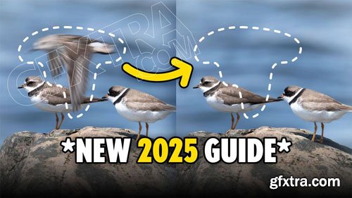 PiximPerfect - How to Remove Objects in Photoshop 2025