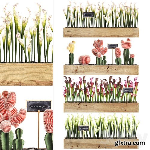 3dsky Pro - Vertical Garden 11× 3d Models 3dsky Pro - Vertical Garden 11× 3d Models