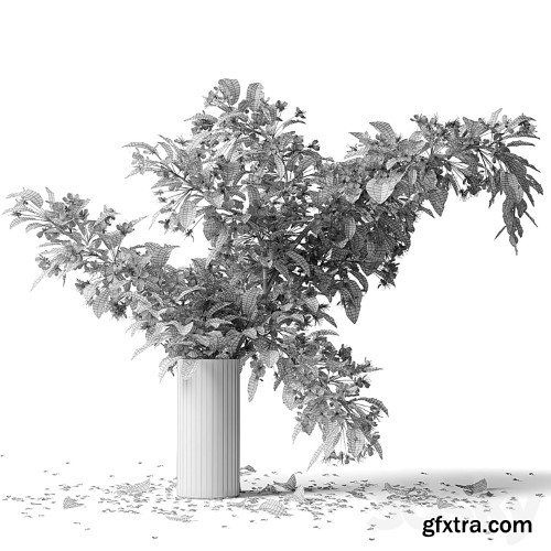 3dsky Pro - Bouquet blooming branch, spring flowers in a glass vase