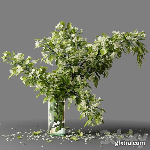3dsky Pro - Bouquet blooming branch, spring flowers in a glass vase