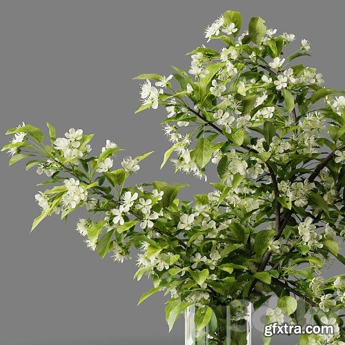 3dsky Pro - Bouquet blooming branch, spring flowers in a glass vase