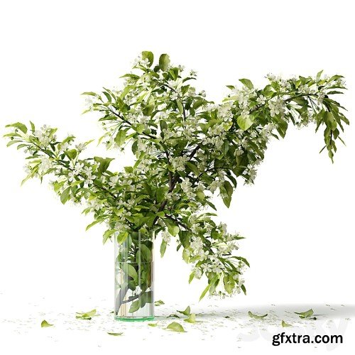 3dsky Pro - Bouquet blooming branch, spring flowers in a glass vase