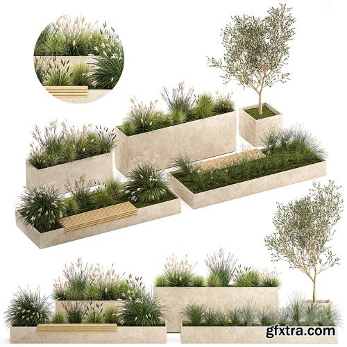 3dsky Pro - Collection of plants for the urban environment with a flower bed, a bench and concrete outdoor flowerpots, bushes and grass, Miscanthus, olive tree, garden. 1141.