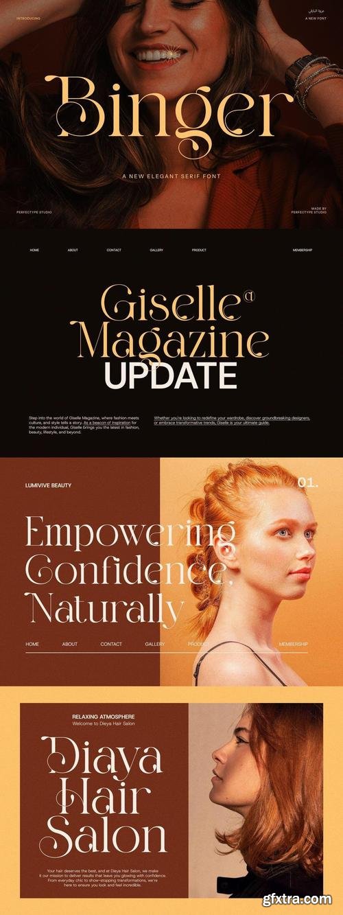 Binger Modern Serif Font