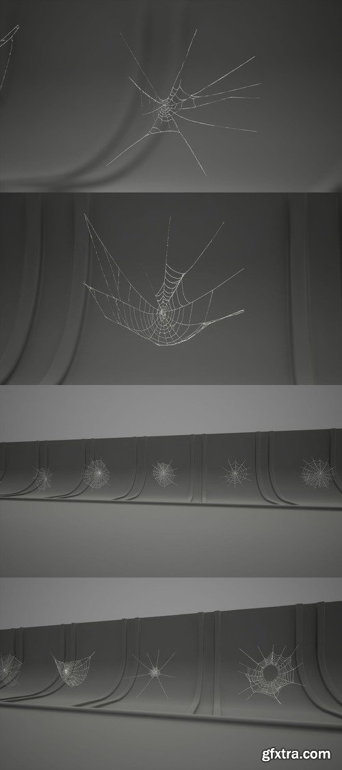 MAE Cobweb Collection 01 v5.0+