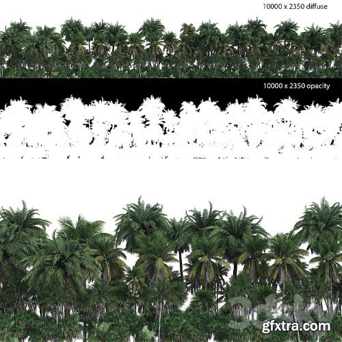 3dsky Pro - Palm Forest Panorama with Opacity Map