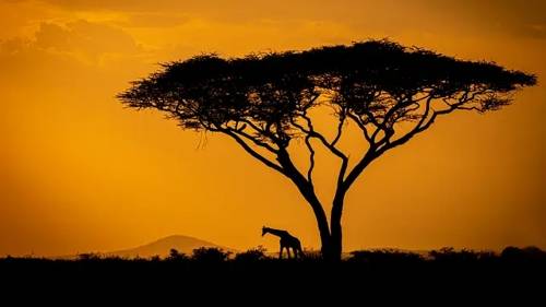 'CreativeLive - Mastering Photographic Composition and Visual Storytelling'