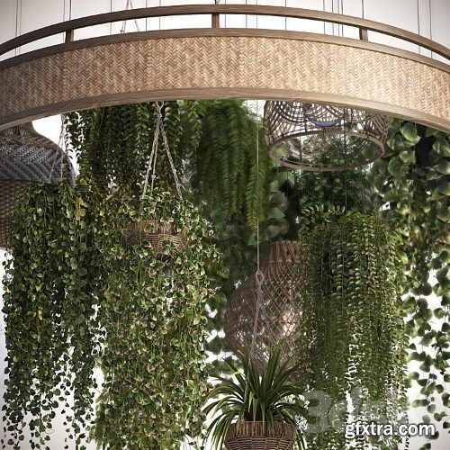3dsky Pro - Plants with Wicker Pendants