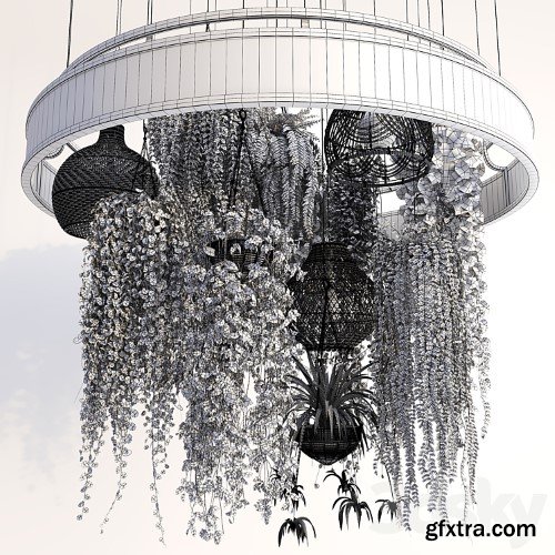 3dsky Pro - Plants with Wicker Pendants