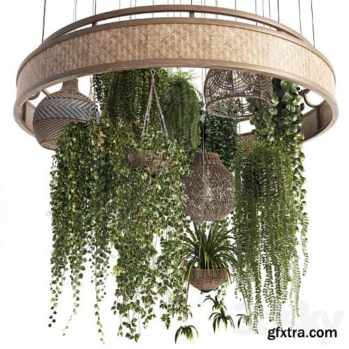 3dsky Pro - Plants with Wicker Pendants