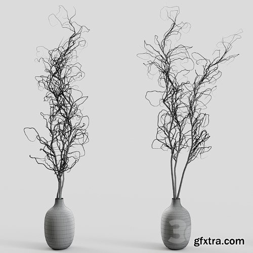 3dsky Pro - Branches in vases 30