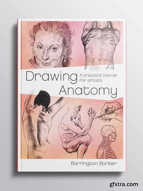 Drawing Anatomy: A Practical Course for Artists